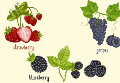 Antioxidanții esențiali în îngrijirea tegumentelor