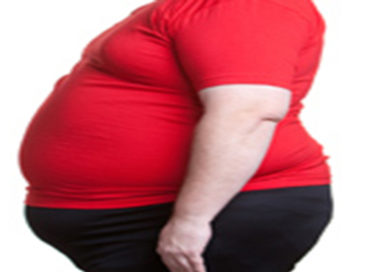 Cercetare pentru prevenirea obezității