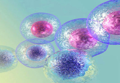 Cercetare: primele celule stem prin tehnologia CRISPR