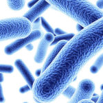 O năuă descoperire, cocktail de bacterii și legume care ucide celulele cancerului colorectal!