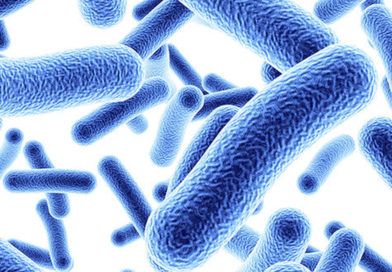 O năuă descoperire, cocktail de bacterii și legume care ucide celulele cancerului colorectal!
