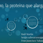 Cercetătorii au descoperit noi elemente legate de proteina Klotho