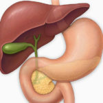 CERCETARE: TRANSPLANTUL DE FICAT ÎN CAZUL CANCERULUI DUCTULUI BILIAR