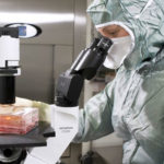 Virusul HIV, un nou instrument biotehnologic