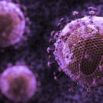 S-a descoperit că sistemul imunitar poate produce „anticorpi universali”