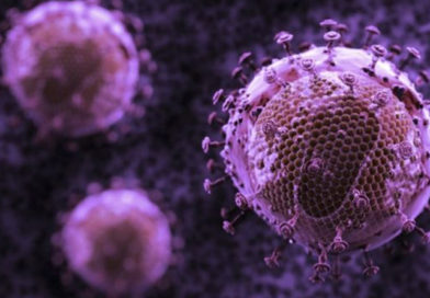 S-a descoperit că sistemul imunitar poate produce „anticorpi universali”