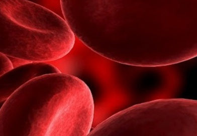 Noul produs pentru crioconservarea celulelor și a țesuturilor