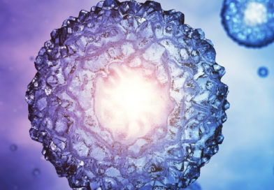 Au fost create primele structuri embrionare cu ajutorul unor celule stem