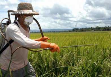 Studiu: care sunt riscurile expunerii la pesticide