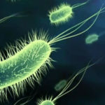 O nouă descoperire cu privire la cancerul gastro-intestinal