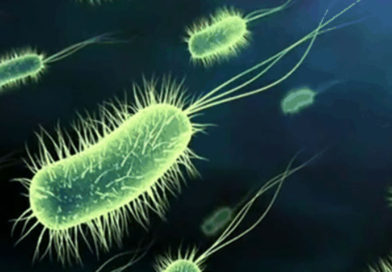 O nouă descoperire cu privire la cancerul gastro-intestinal