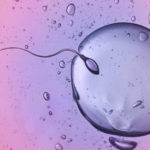 Ce impact are procesul de replicare celulară asupra organismului?