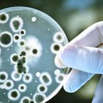 Superantibioticul,  ce s-a descoperit