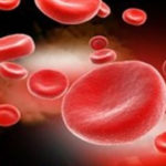 Talasemia, corectată în embrionul uman prin modificare genetică