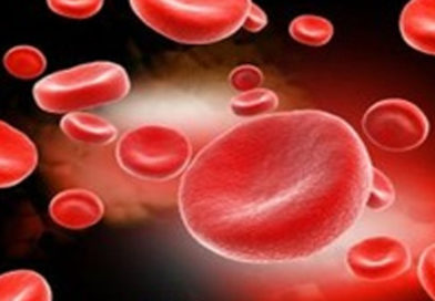 Talasemia, corectată în embrionul uman prin modificare genetică