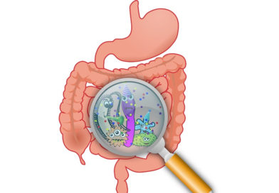 Noi descoperiri în tratarea bolilor inflamatorii intestinale