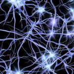 Au fost descoperite noi tipuri de neuroni