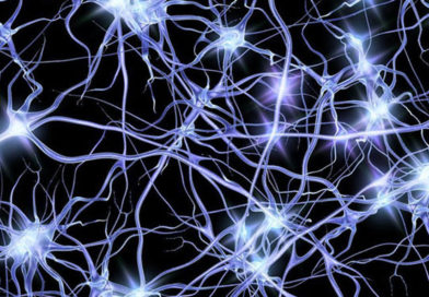 Au fost descoperite noi tipuri de neuroni