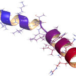 Peptidele pot fi utilizate drept antibiotice puternice