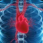 Află care este legătura dintre rigiditatea arterială și bolile cardiovasculare!
