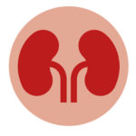 A fost descoperit un test care poate indica dacă o persoană este predispusă să dezvolte cancer renal