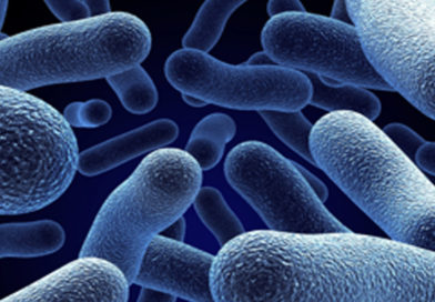 A fost descoperită o structură specială care poate acționa ca un scut împotriva infecțiilor