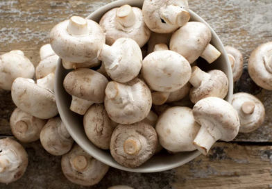 Ciupercile albe pot fi folosite ca probiotice