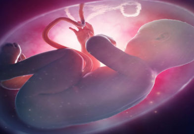 Cercetătorii au inventat primul model de placentă artificială