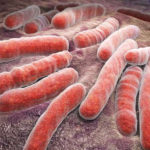 Bacterie găsită în sol, benefică în tratarea tuberculozei