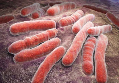 Bacterie găsită în sol, benefică în tratarea tuberculozei