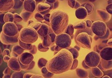 Ibrutinib, medicamentul minune în tratarea leucemiei la perosanele în vârstă