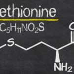 S-a descoperit că metionina controlează creșterea celulară