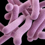 Cercetătorii au  dezvoltat un nou vaccin împotriva tuberculozei
