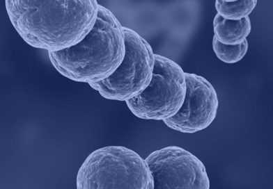 A fost dezvoltat vaccinul împotriva serotipurilor de Streptococcus pneumoniae