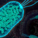 A fost descoperit un factor cheie pentru tratarea bolilor inflamatorii intestinale