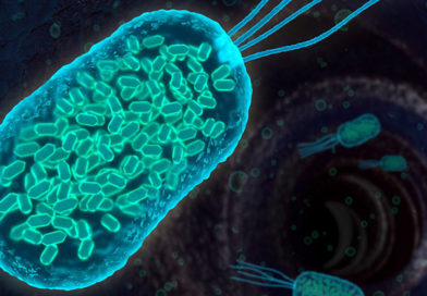 A fost descoperit un factor cheie pentru tratarea bolilor inflamatorii intestinale