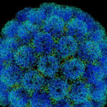 A fost descoperită o nouă metodă de detectare a cancerului
