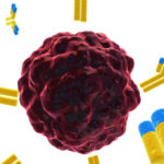 Studiu revoluționar: cercetătorii israelieni au dezvoltat tratamentul care vindecă bolnavii de cancer