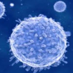Determinarea țintelor celulelor T, un pas important în dezvoltarea de tratamente pentru cancer și vaccinuri