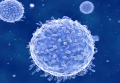 Determinarea țintelor celulelor T, un pas important în dezvoltarea de tratamente pentru cancer și vaccinuri