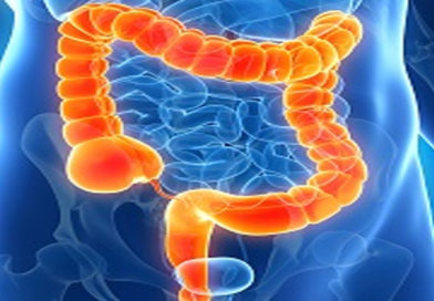 Agregarea particulelor din intestin poate influența absorbția de medicamente și substanțe nutritive