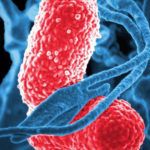 Un tip de particule, mai eficiente în uciderea bacteriilor decât antibioticele