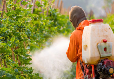 Expunerea la pesticide și riscul de boli cardiovasculare la copii