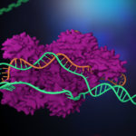 Studiu uimitor: în iunie se va naște al treilea copil modificat genetic