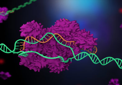 Studiu uimitor: în iunie se va naște al treilea copil modificat genetic