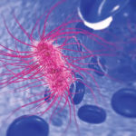 Cea mai comună bacterie din lume, din ce în ce mai rezistentă la antibiotice
