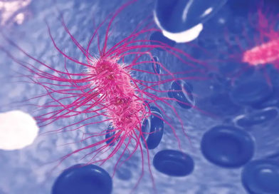 Cea mai comună bacterie din lume, din ce în ce mai rezistentă la antibiotice