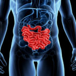 Descoperirile care ar putea ajuta la crearea de noi medicamente pentru bolile gastrointestinale