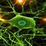 Anumite antibiotice pot provoca neuropatia periferică