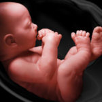 Cercetătorii au creat primul pântec artificial, care poate ține în viață bebelușii născuți prematur